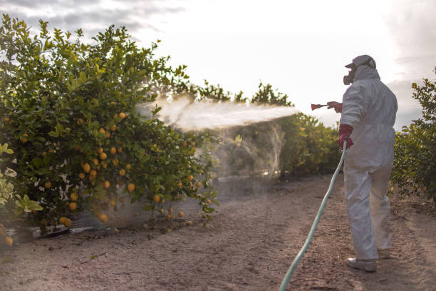 Professional Pest Control in Hobbs, NM